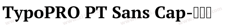 TypoPRO PT Sans Cap字体转换